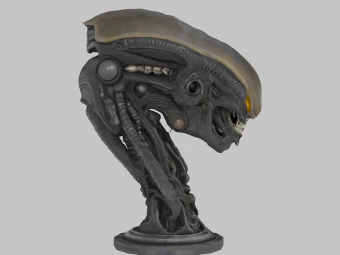 Чужа голова 3D Модель