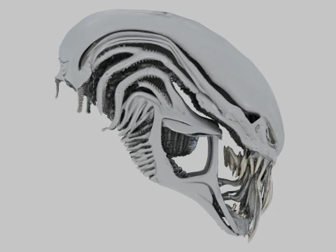Alien Head Bust Model 3D Model