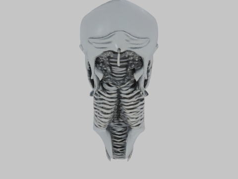 Model popiersia głowy obcego Model 3D