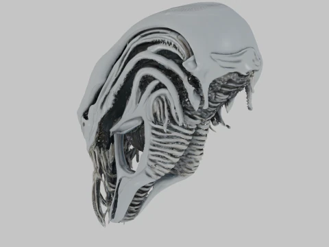Alien Head Bust Model 3D Model