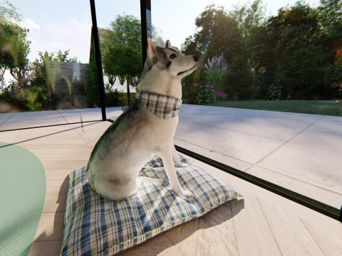 Chien Husky r&eacute;aliste avec coussin bandana Modèle 3D