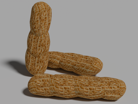 Peanut 3D Model