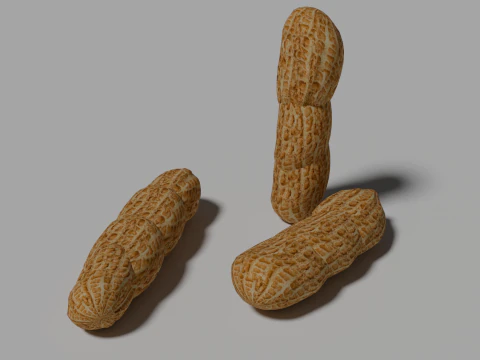 Peanut 3D Model