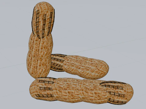 Peanut 3D Model