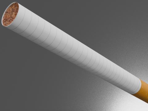 Cigarette Unused 3D Model