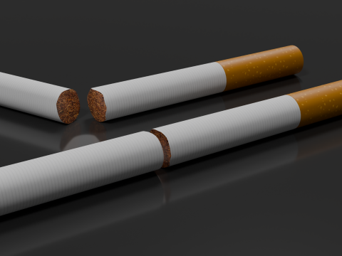 Cigarette Unused Broken 3D Model