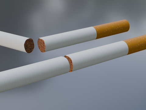 अप्रयुक्त सिगरेट टूटी हुई 3D मॉडल