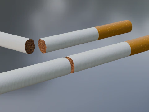 Cigarette Unused Broken 3D Model