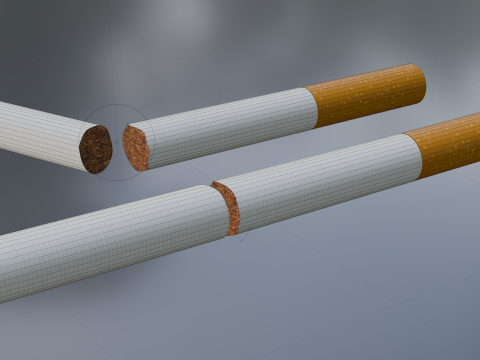 अप्रयुक्त सिगरेट टूटी हुई 3D मॉडल