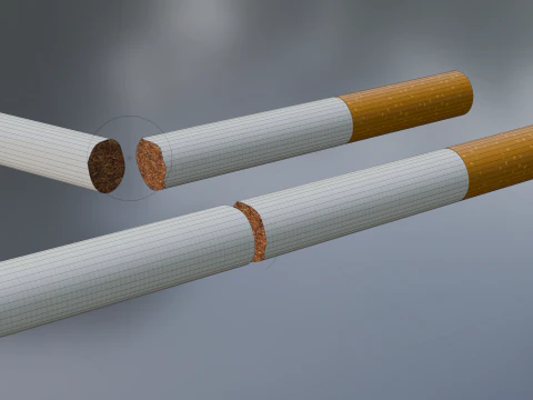 Cigarette Unused Broken 3D Model