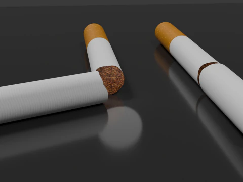 Cigarette Unused Broken 3D Model