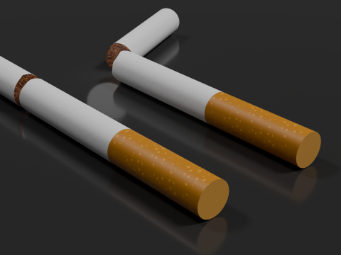 अप्रयुक्त सिगरेट टूटी हुई 3D मॉडल