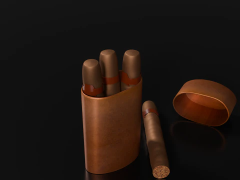 Sigaro Modello 3D