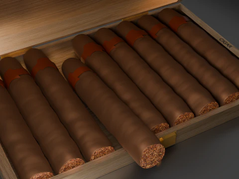 Cigar Box 3D Model