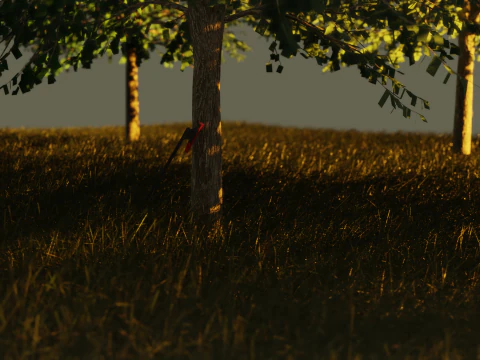 Sunset Axe 3D Model