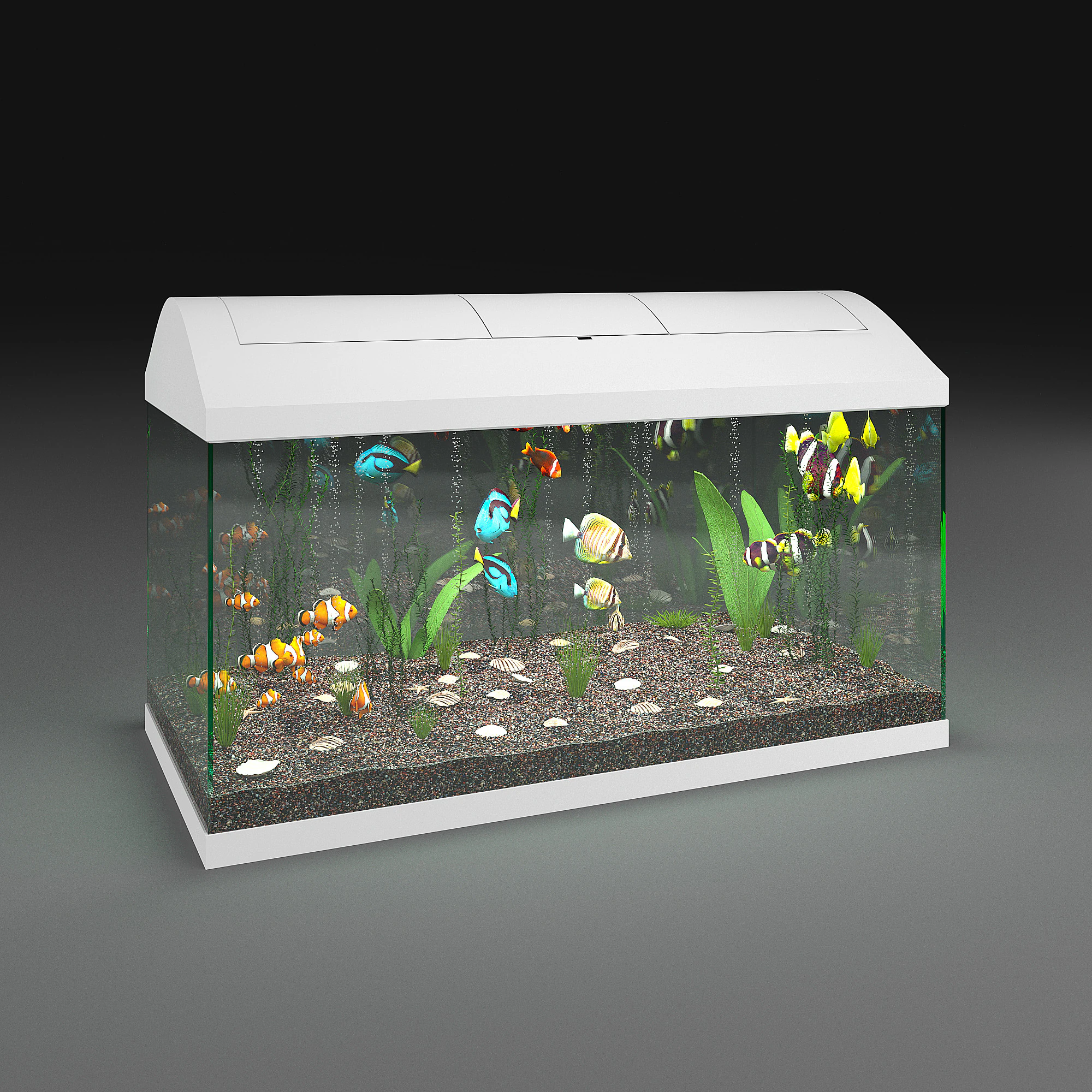 Aquarium 3D Model .c4d .max .obj .3ds .fbx .stl .blend 