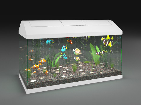 Aquarium 3D Model