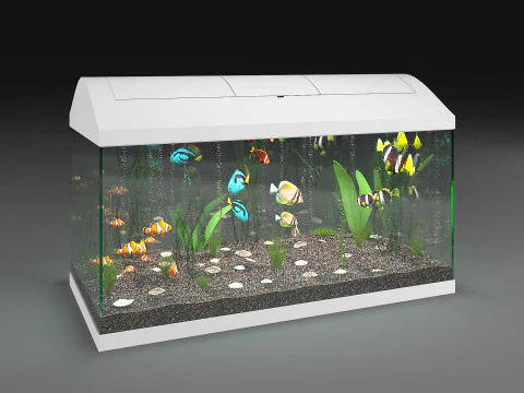 Aquarium 3D Model