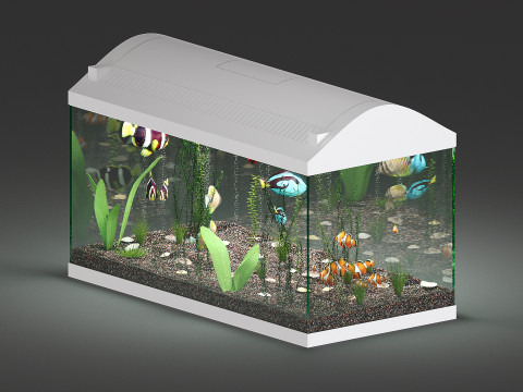 Acquario Modello 3D