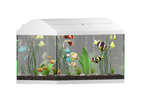 Acquario Modello 3D