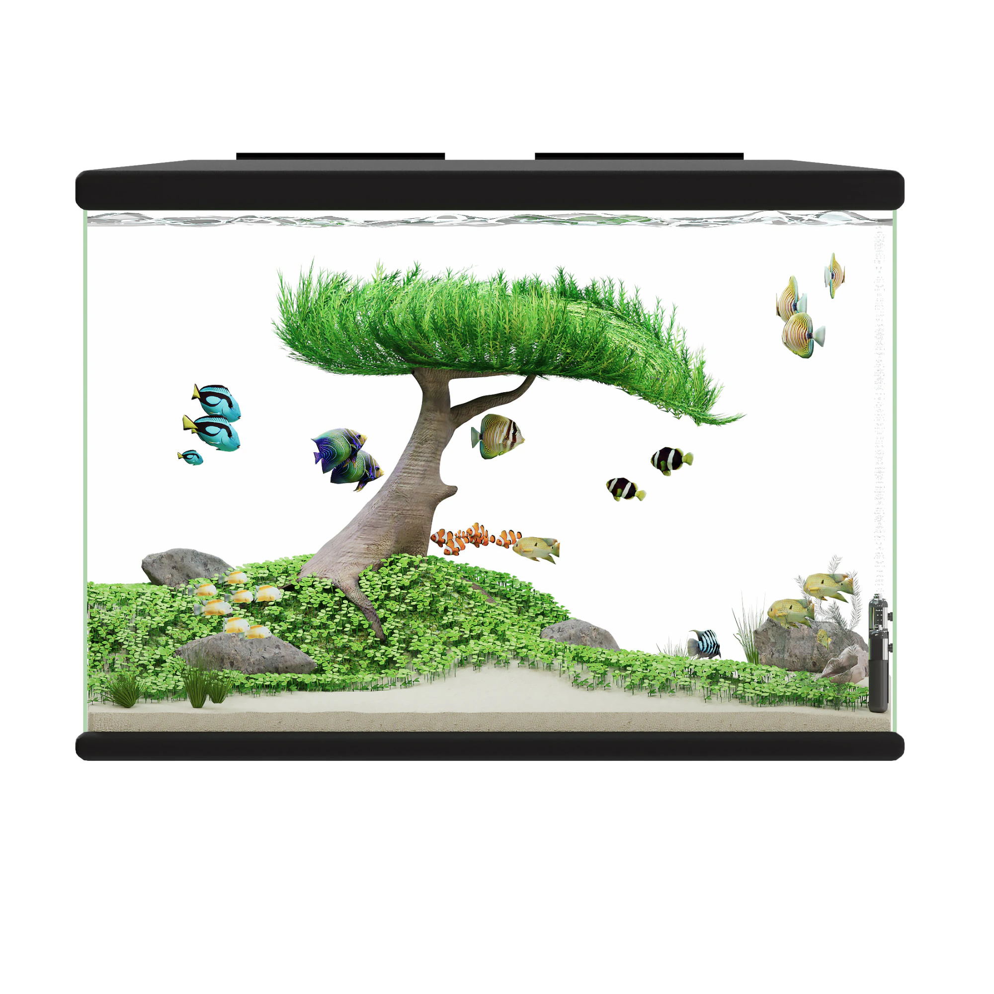 Aquarium 3D Model .c4d .max .obj .3ds .fbx .stl .blend 