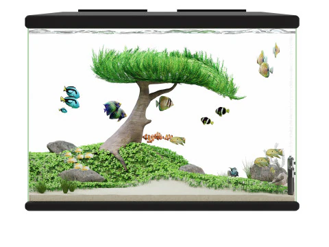 Acuario Modelo 3D
