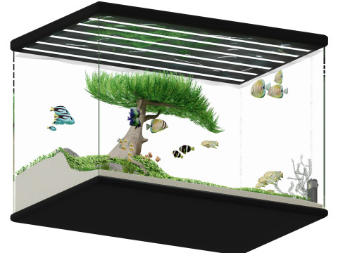 Acquario Modello 3D
