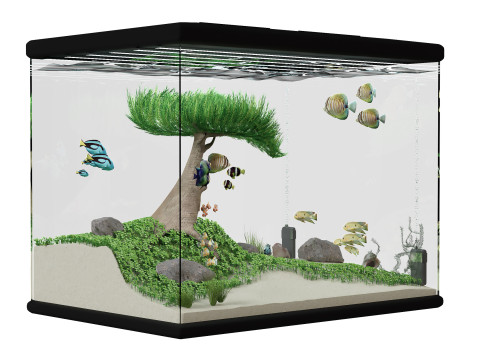Acquario Modello 3D