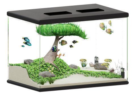 Acquario Modello 3D