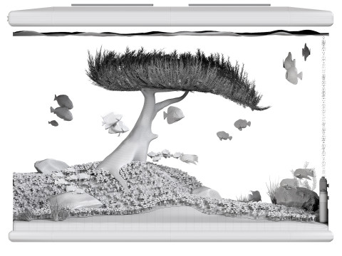 Acquario Modello 3D