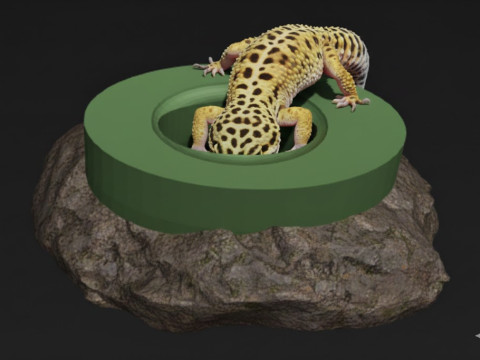AntiEscape Feeder EasytoClean 3D Printable rock model 3D Print Model