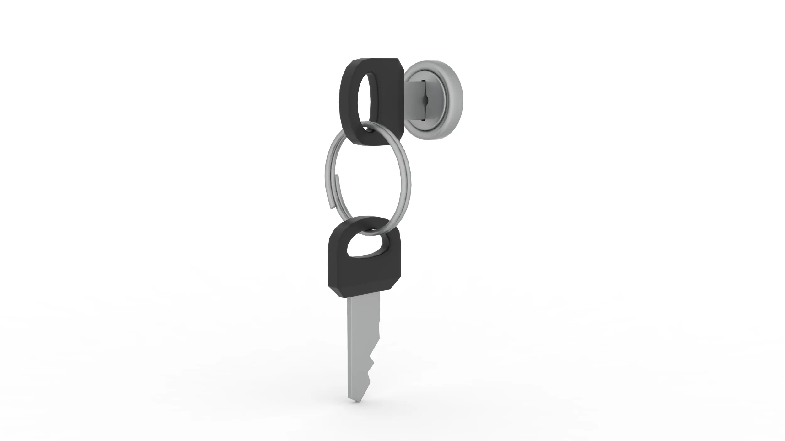 Key 3D Model .c4d .max .obj .3ds .fbx .stl .blend