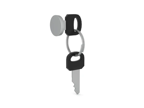 Key 3D Model