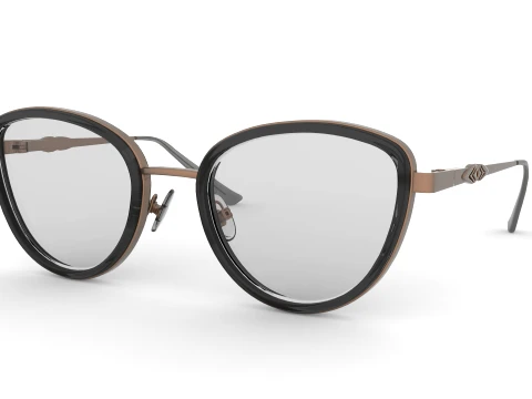 Spectacles 3D Model