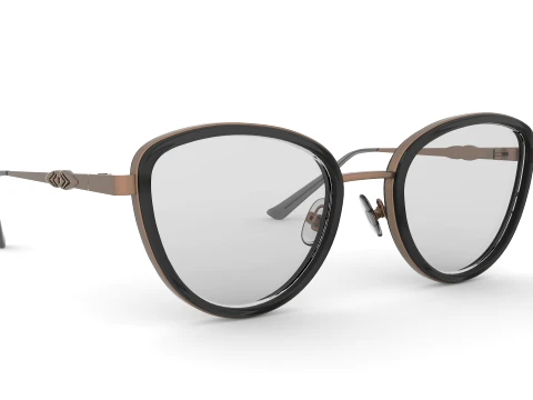 Spectacles 3D Model