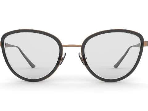 Spectacles 3D Model