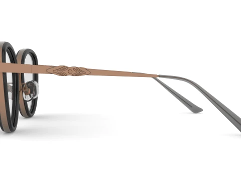 Spectacles 3D Model
