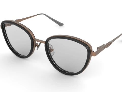 Spectacles 3D Model