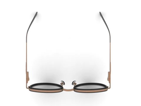 Spectacles 3D Model