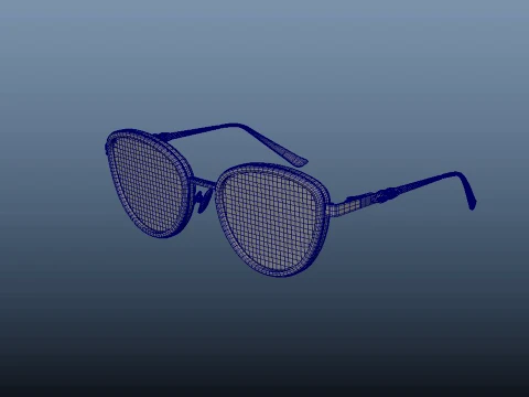 Spectacles 3D Model