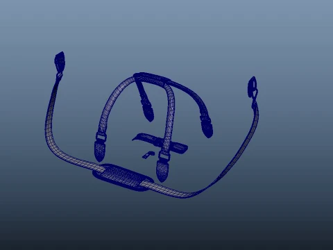 Bag accessories 3D Model