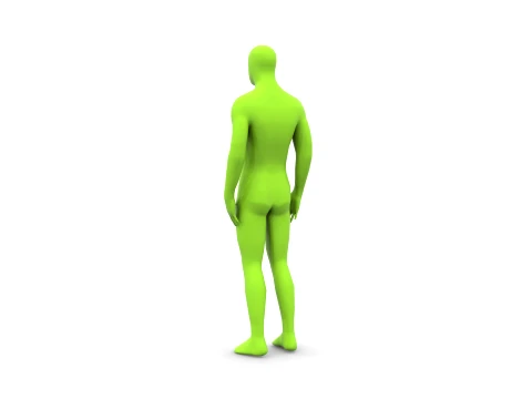 人体 3Dモデル