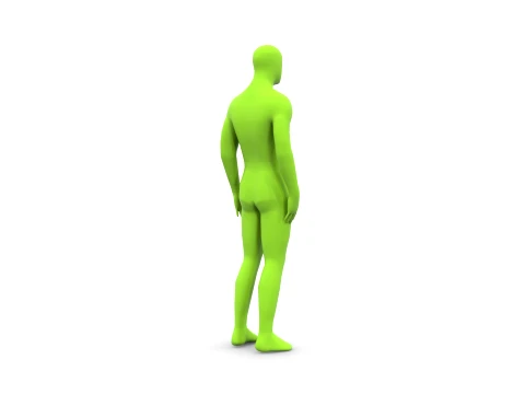 人体 3Dモデル