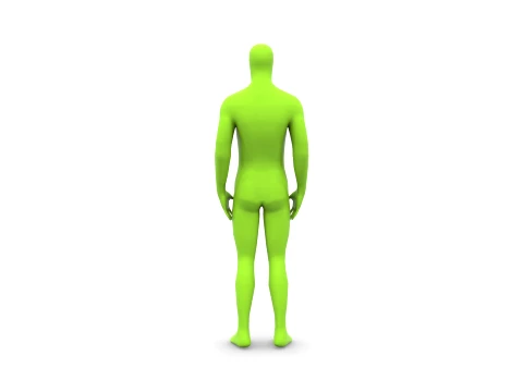 人体 3Dモデル