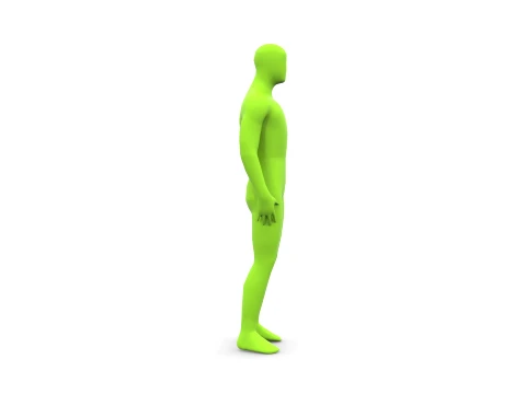 人体 3Dモデル