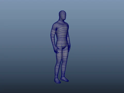 人体 3Dモデル