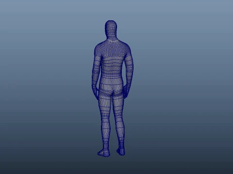 人体 3Dモデル
