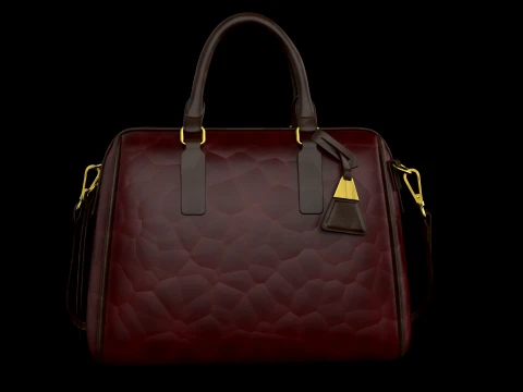Briefcase 3D Model