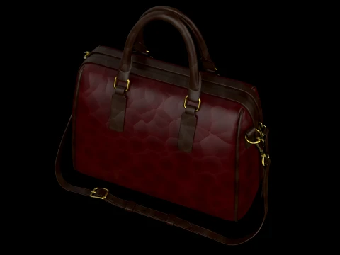 Briefcase 3D Model