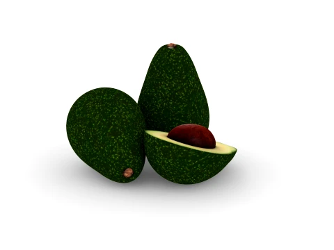 Avocado 3D Model
